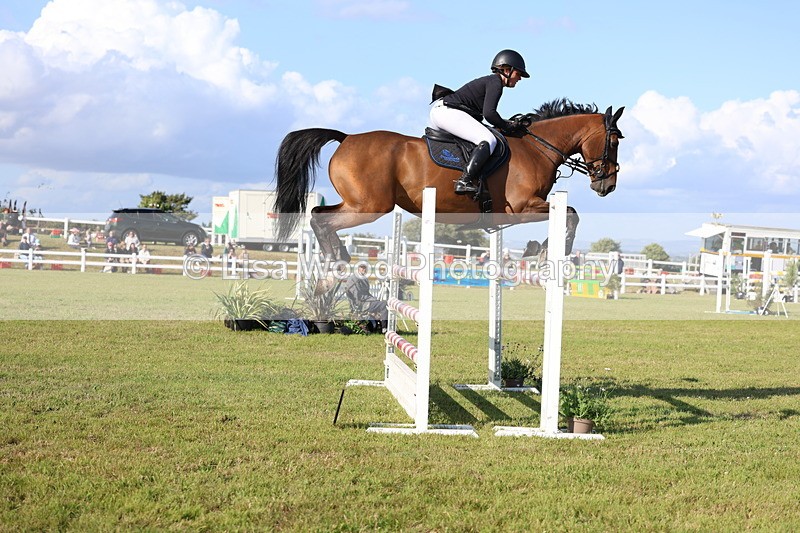 3E7A4283 - Class C: Showjumping Senior Foxhunter