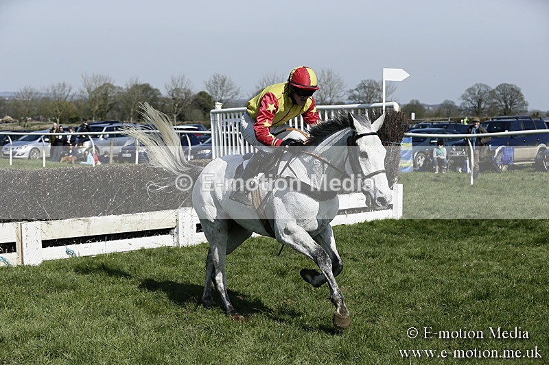 PtP 260317 140 - Mendip Farmers Point-to-Point Ston Easton 26/03/17