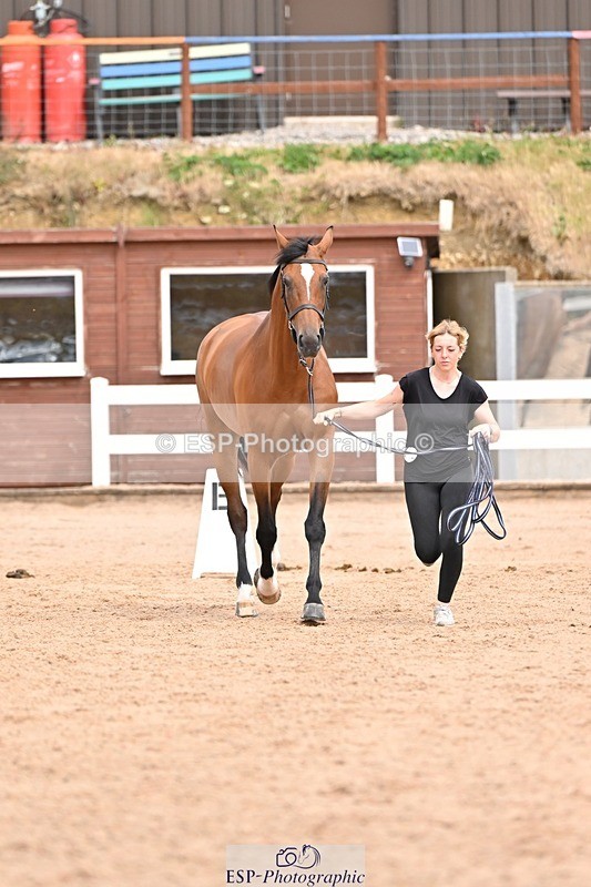 250716-153530-02034 - Trot Up 3.30 to 4.30