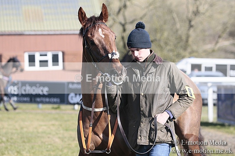 PtP 240218 109 - Vine & Craven Hunt Point-to-Point Barbury racecourse 24/02/18
