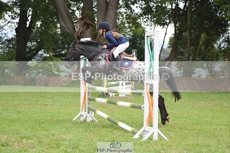 230618-102154-10384 - Cls 28 British Novice & 80cm Open