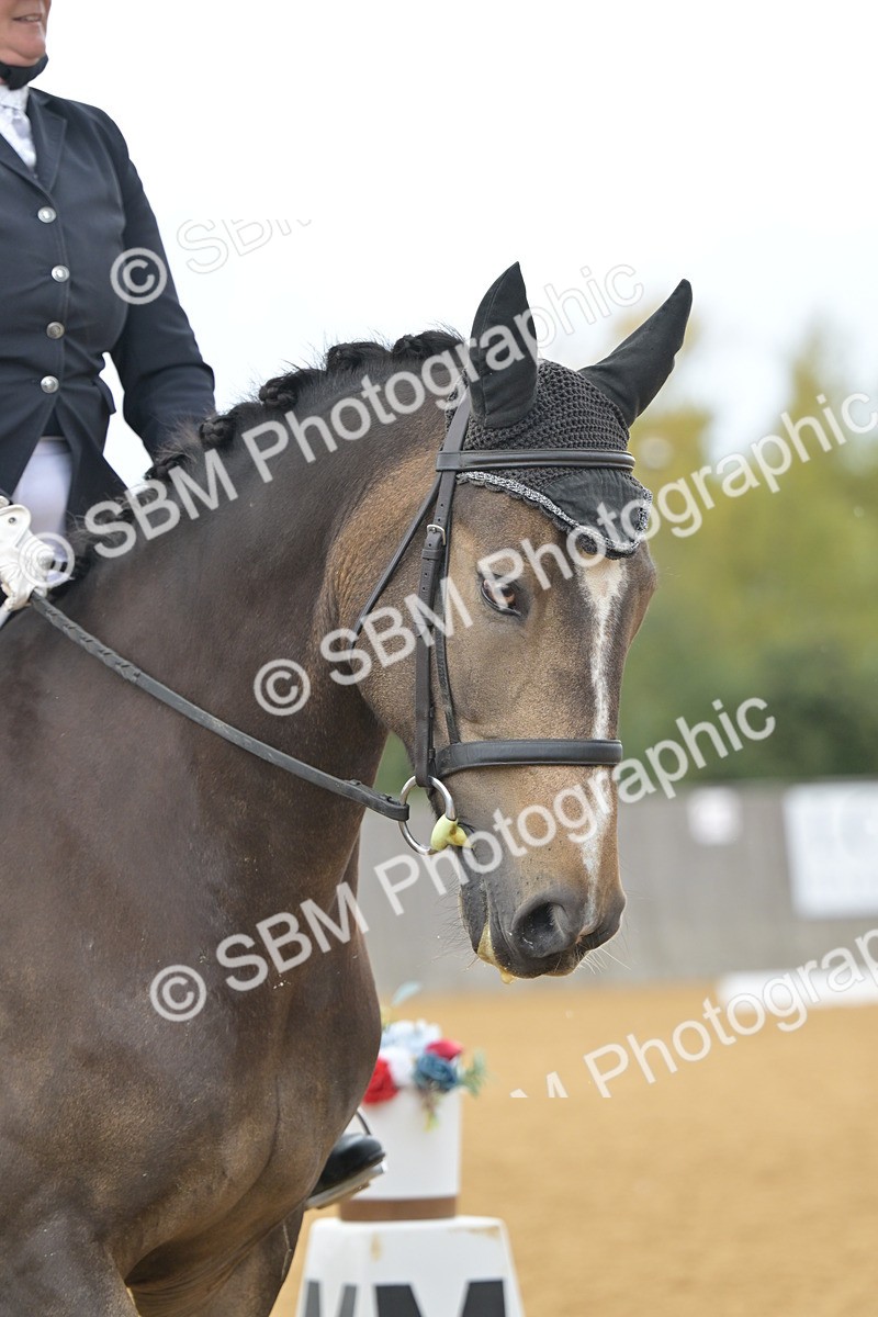 SBM_11073 - D3 - Small Tour Championship Intro 3