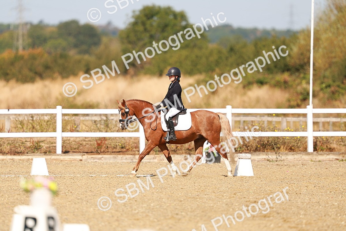 SBM_017579 - Class 9 - N5 Bronze 10.33.11.36