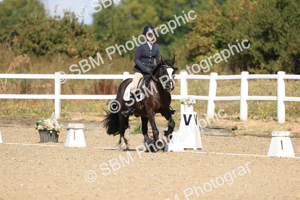 SBM_013529 - Class 1 - P5 Bronze 10.38.12.02