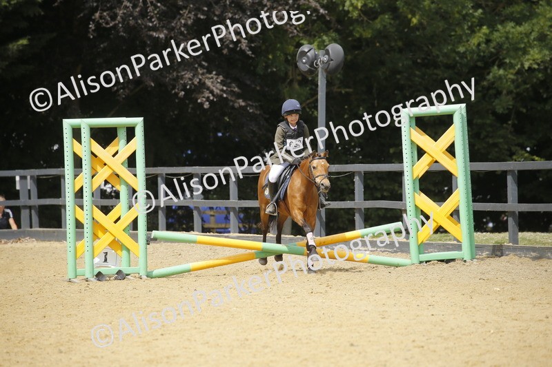 20250622-3976 - 50cm