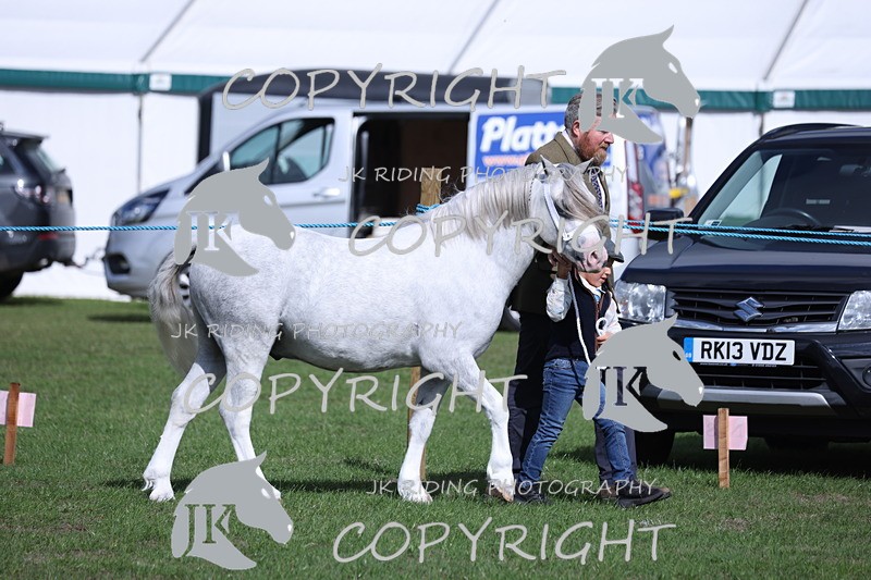 APP_2743 - Class 10a/b M&M in hand