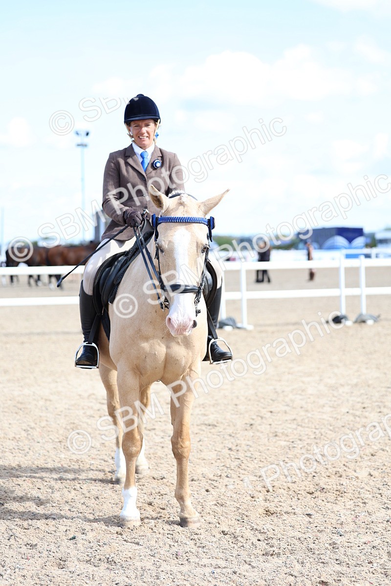 SBM_11234 - Class 306 - Ridden Foreign Breeds - Part Bred