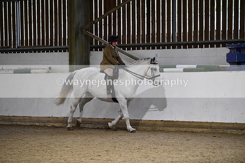 WJ5_8827 - Class 15 Ridden Show Horse