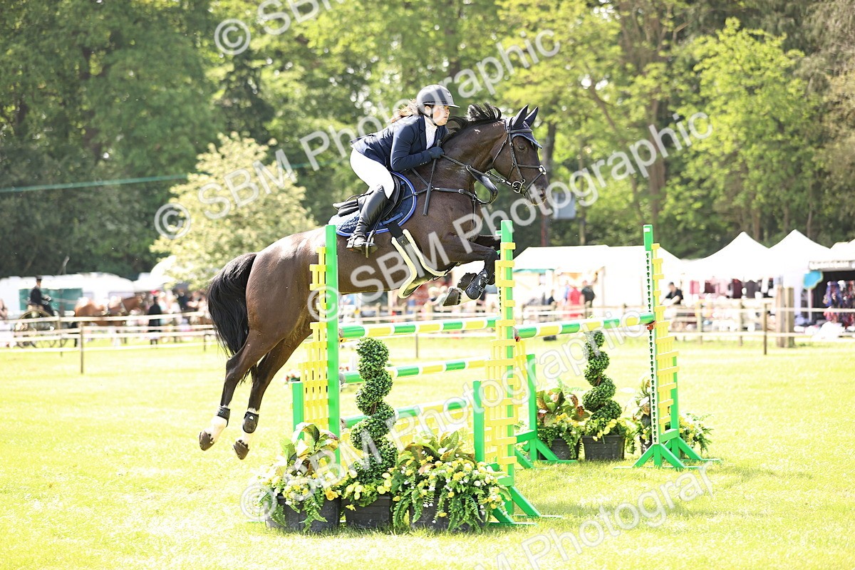 SBM_03072 - Class 201 - British Horse Feedds Speedi Beet HOYS Grade C