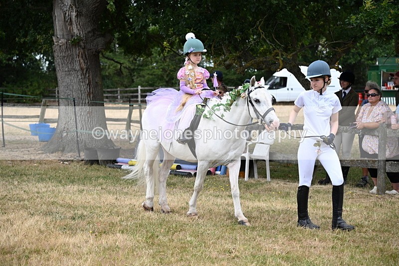 WJ6_4632 - Class 11 Fancy Dress
