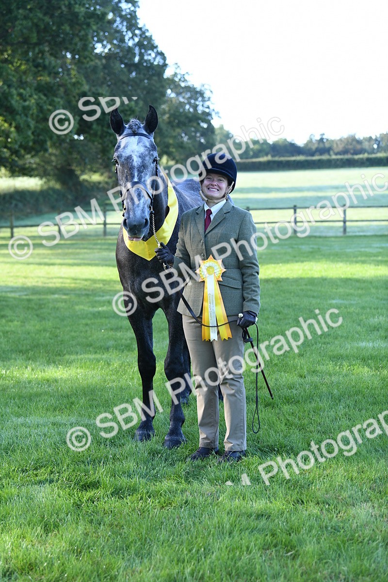 SBM_32827 - S15 - Condition & Turnout In Hand