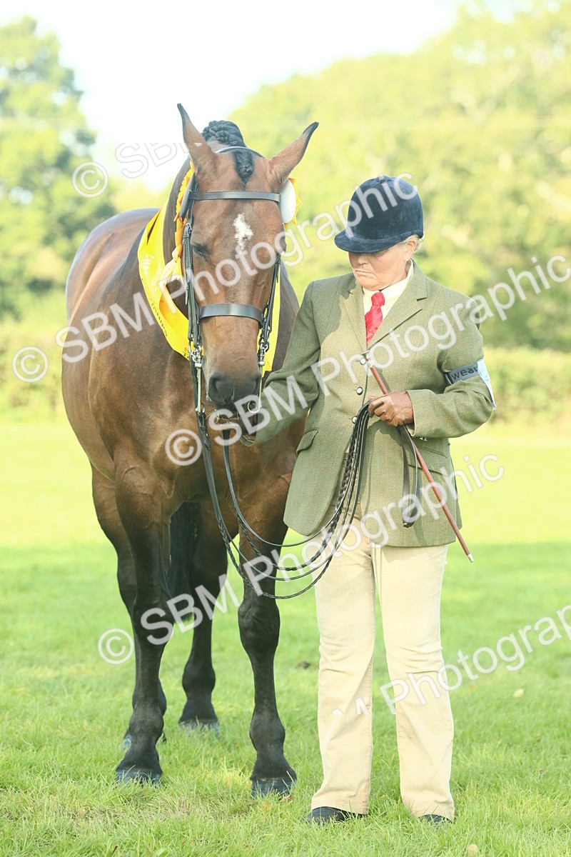 SBM_61142 - Starter Supreme Championship