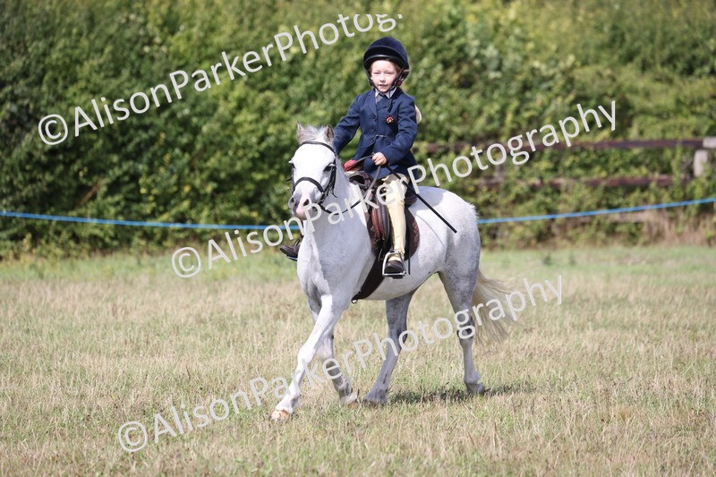 20260906-3023 - Class 18 - Childs First Pony