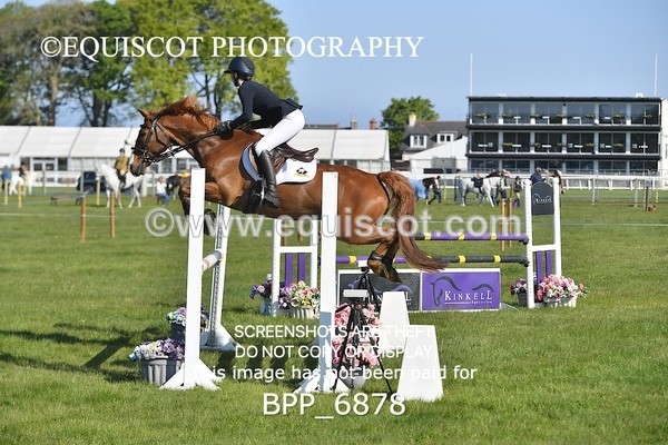 BPP_6878 - CLASS 1 Senior Newcomers/ 1.10m Open