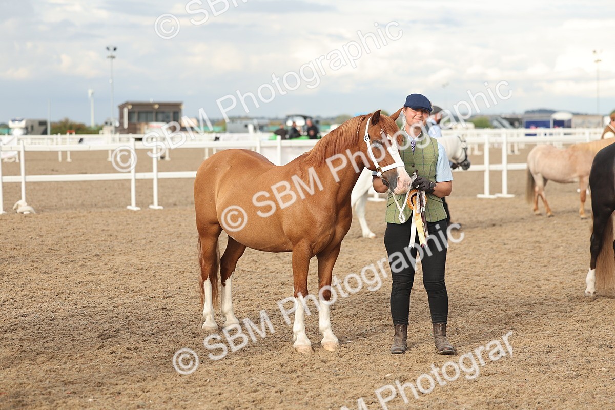 SBM_08592 - Class 29 - IH Veteran Pony