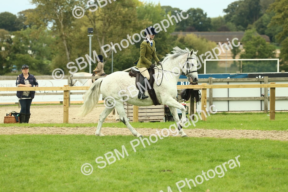 SBM_72046 - S60 - Mountain & Moorland Ridden Large Breeds