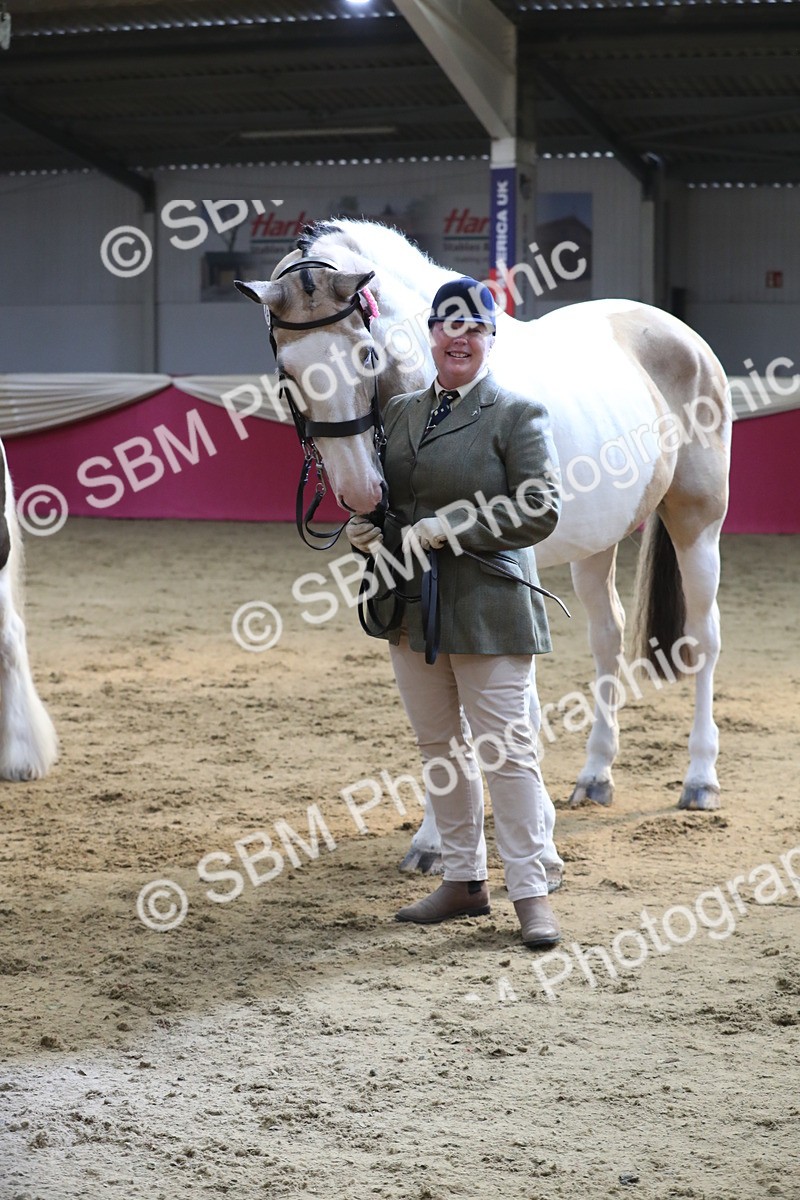 SBM_01380 - Class 3a Area IH Pre Vet