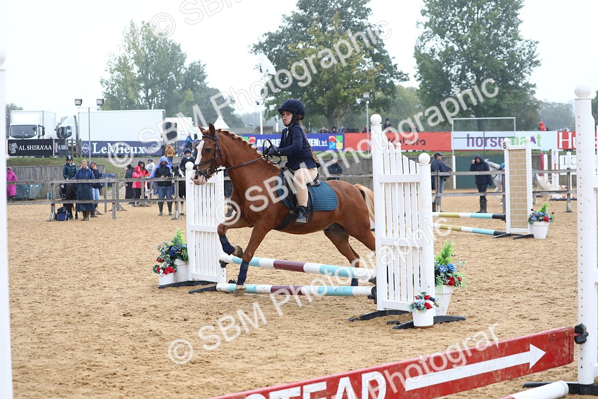 SBM_71661 - J4 - Mini Tour Junior Pony 45cm Championship