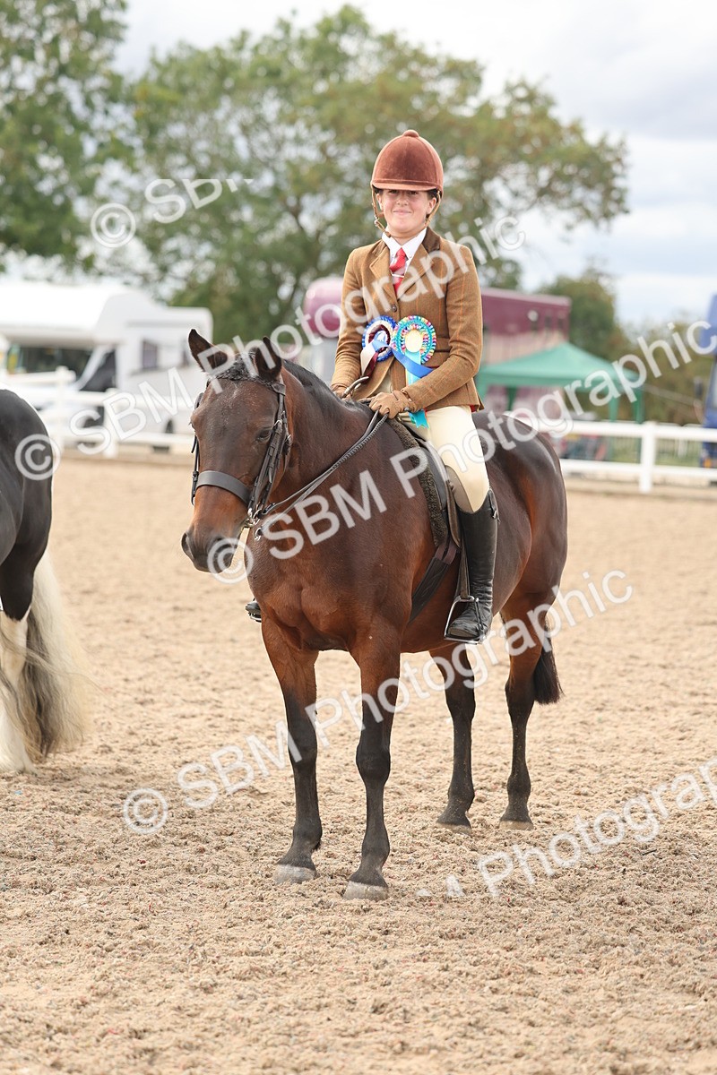 SBM_18076 - Class 314 - Family Horse Pony