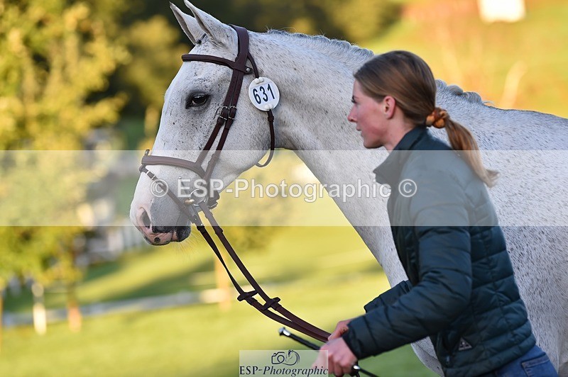 231022-084700-21357 - 631-BRIGHT.RINCO-Maisie.Morgan-TrotUp+SJ