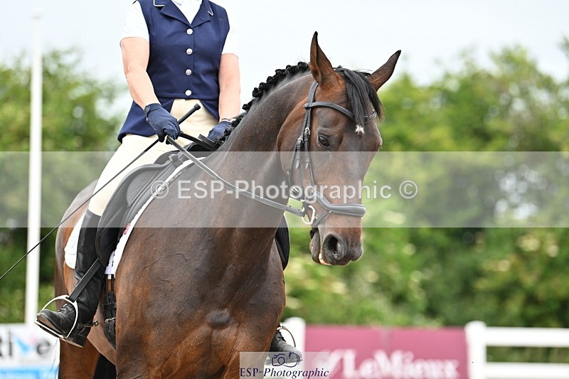 240623A-160628-19854 - Cls 54 BD Medium 73