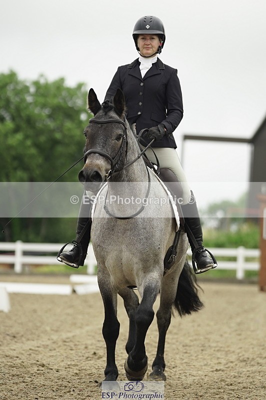 230708A-100550-00312 - Intro C