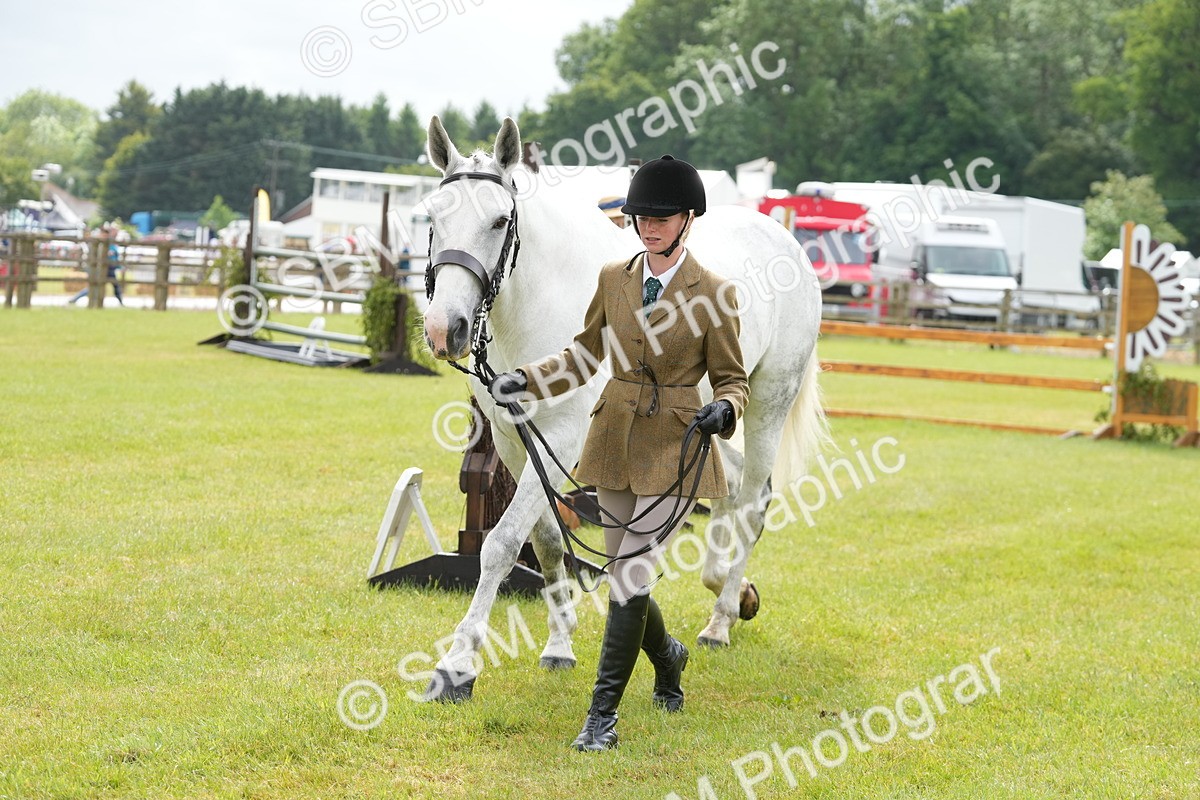 SBM_12749 - Class 97-98 - LIHS BSHA Rising Star Working Show Horse Hunter