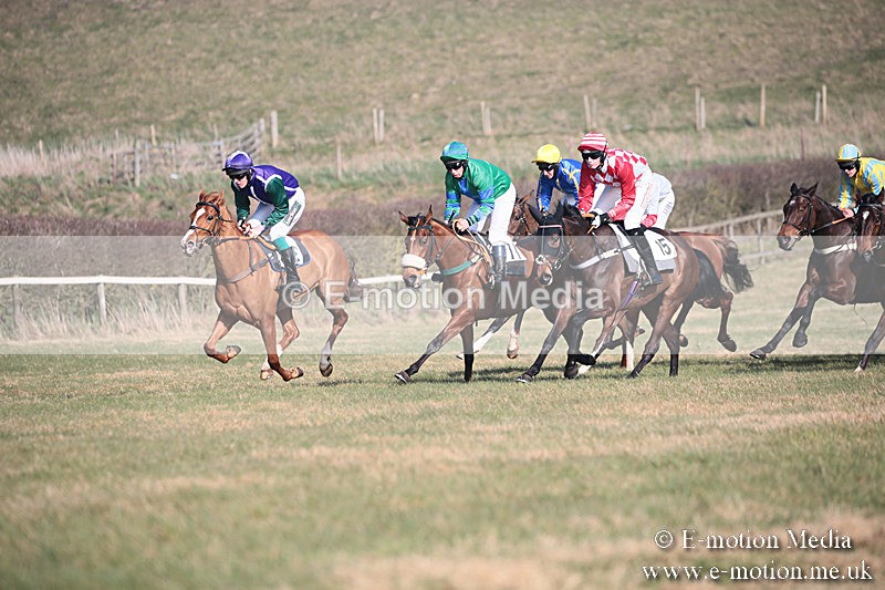 PtP 230219 218 - Vine & Craven Point-To-Point - Barbury 23/02/19