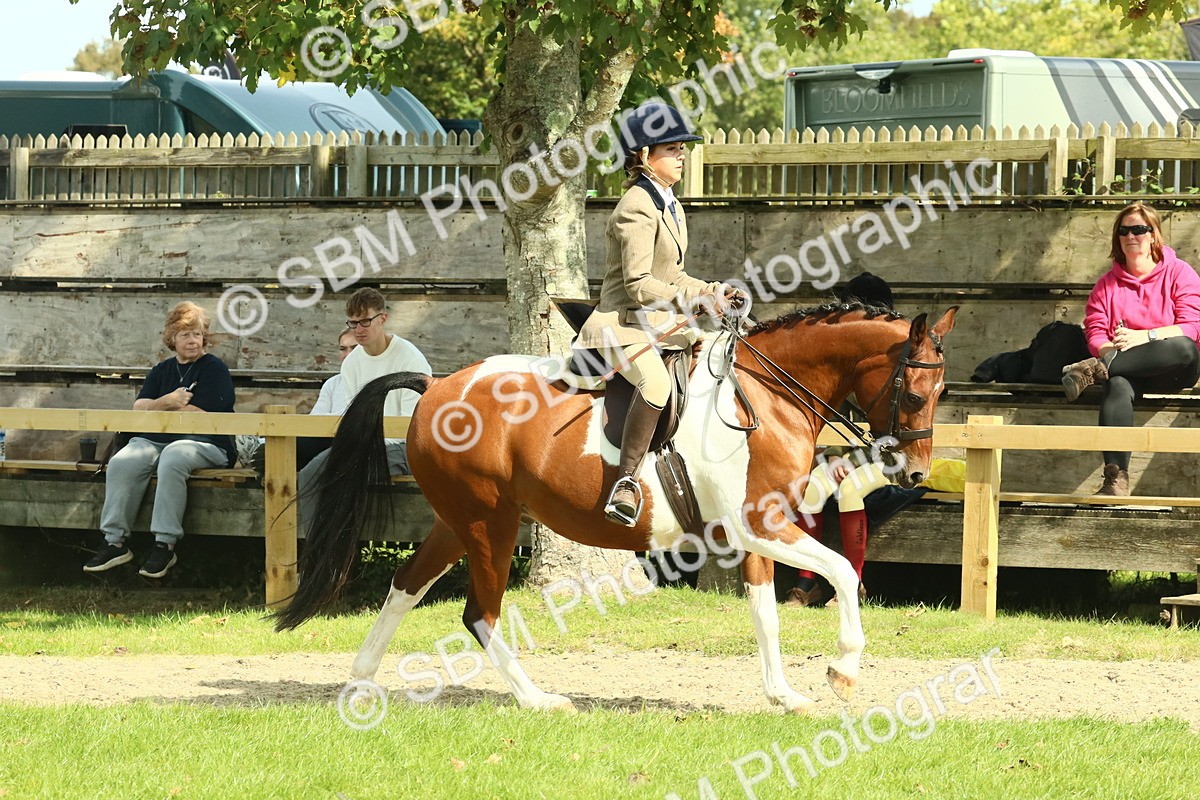 SBM_67499 - S56 - Coloured Pony Ridden