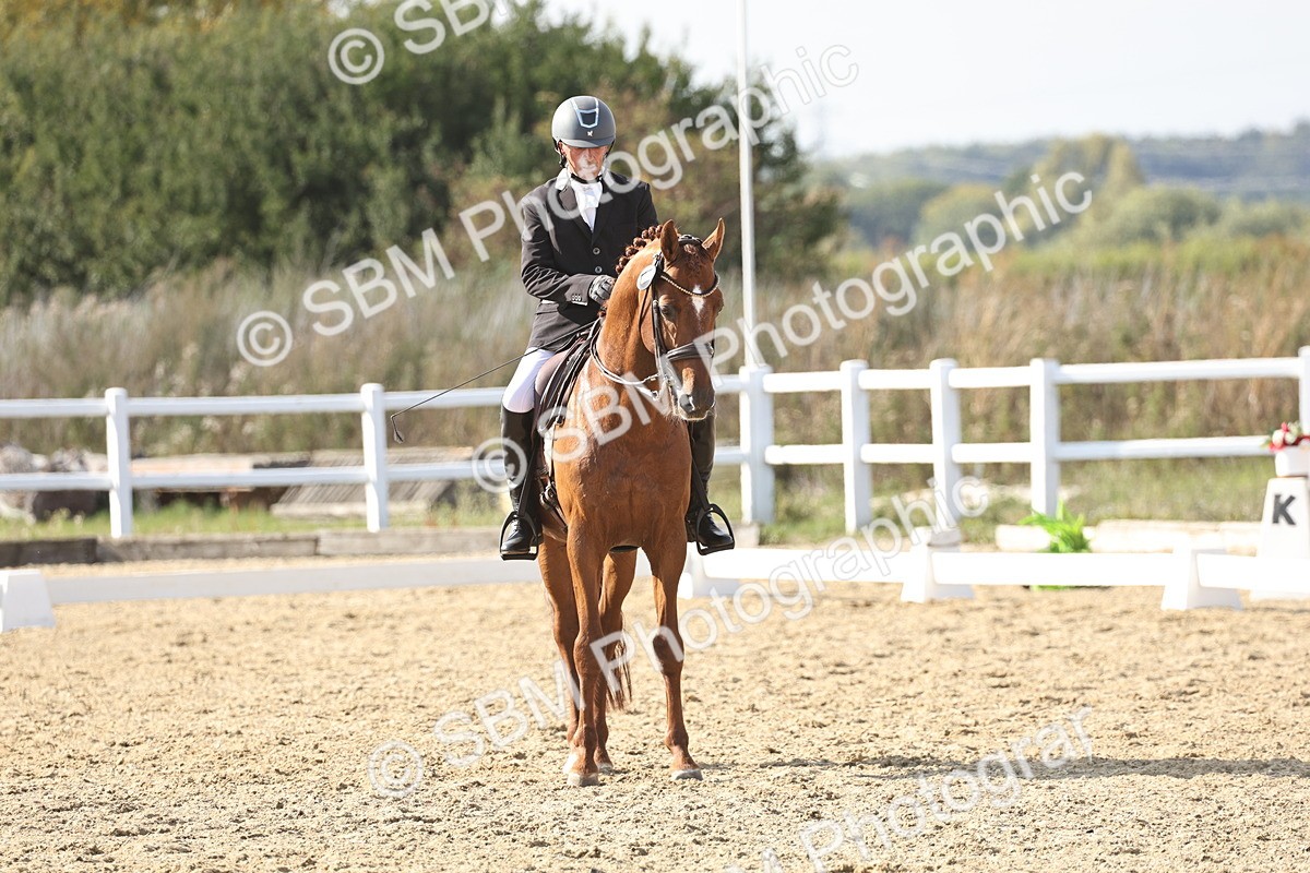 SBM_015382 - Class 9 - Advanced medium 3