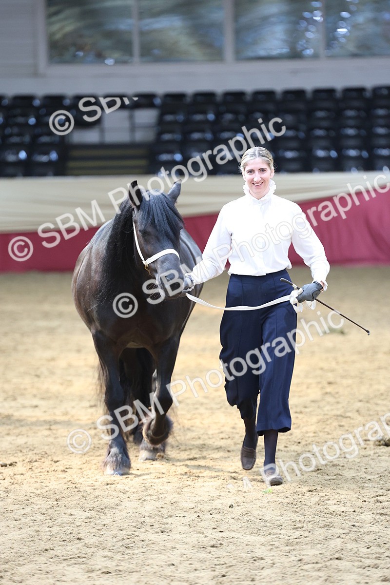 SBM_23344 - Class 903 - Supreme Final - IH Pre Vet