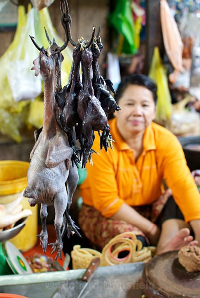  - Cambodia