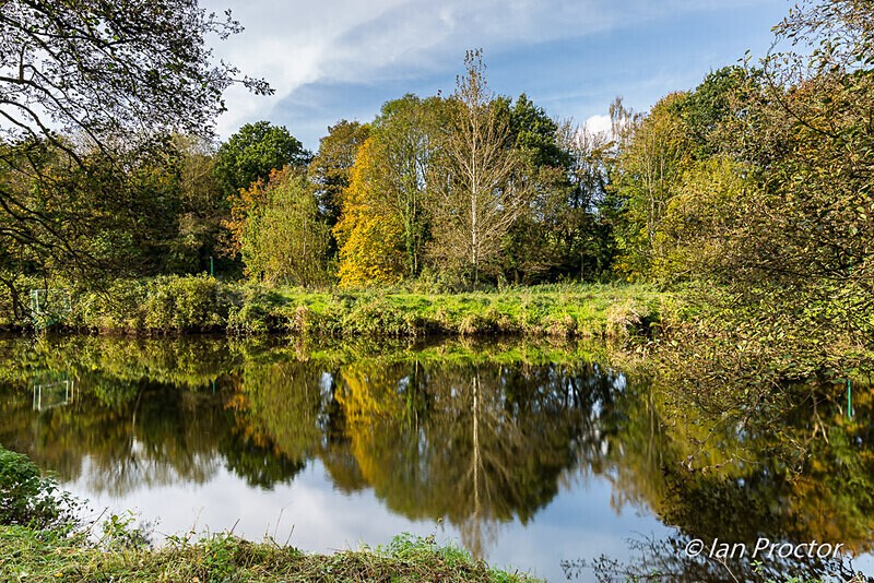 Autumn Reflections on the River Lagan - Autumn