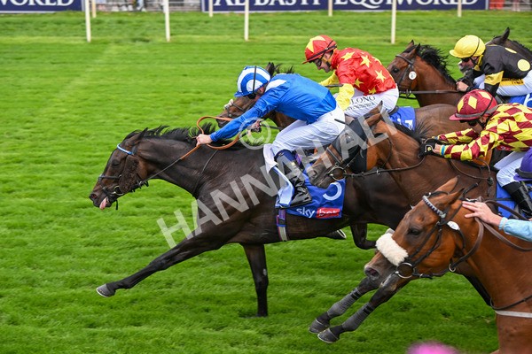 260725-Race 2-Elmonjed-7263 - Race 2 2.00pm Sky Bet Dash Handicap