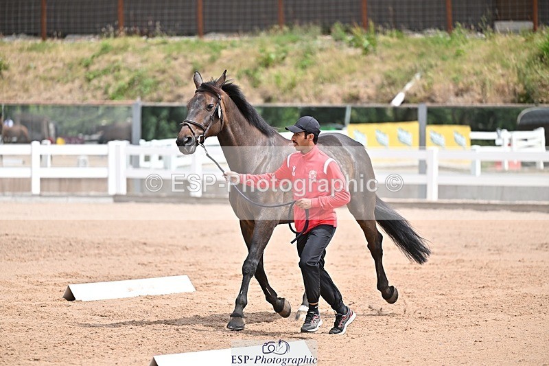 250716-132048-00444 - Trot Up 12.30 to 1.30