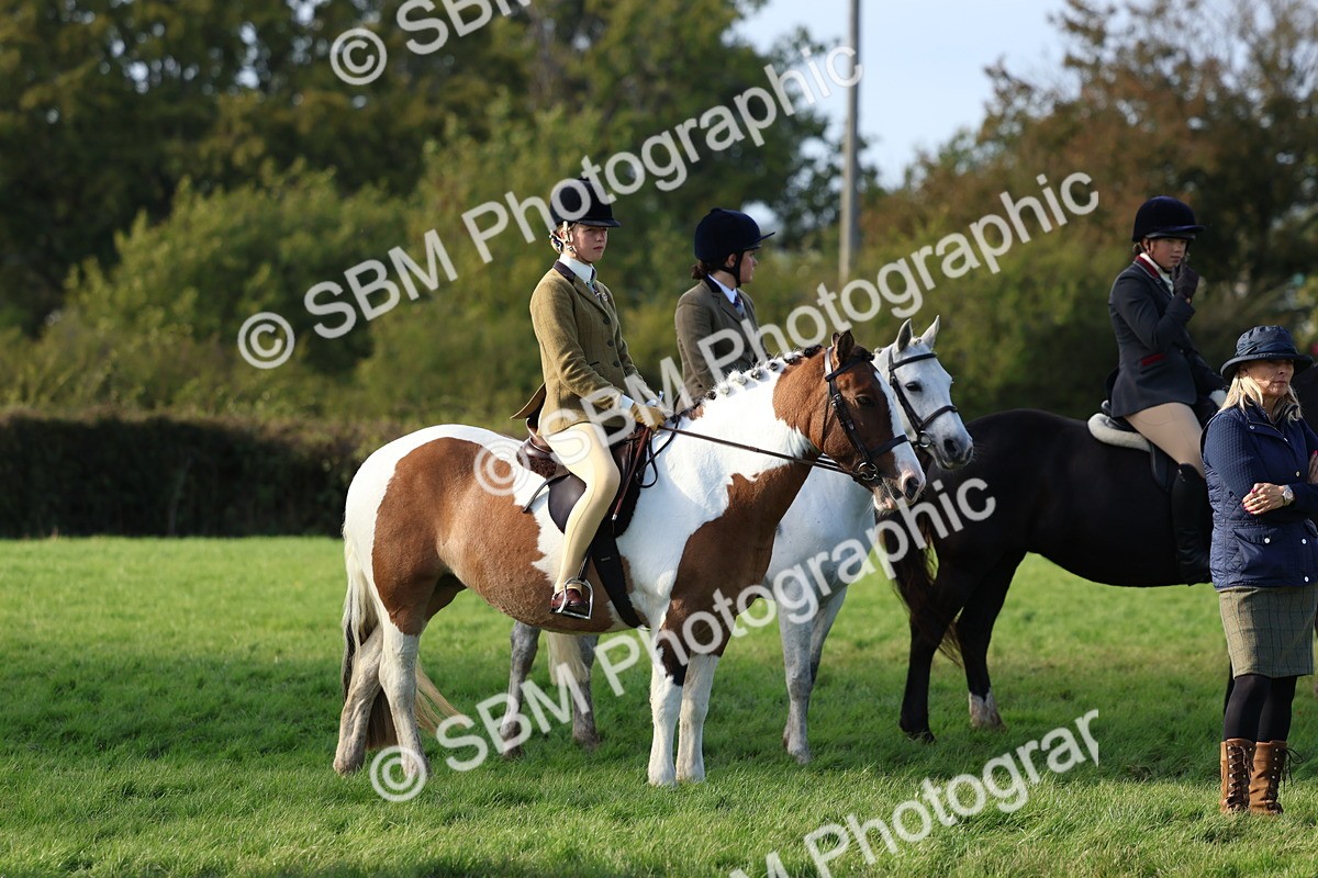 SBM_52490 - S13 - Pony Club Pony