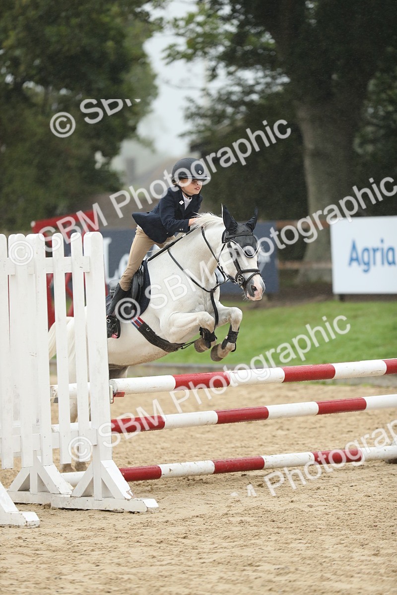 SBM_74001 - J16 - Junior Pony 75cm Championship