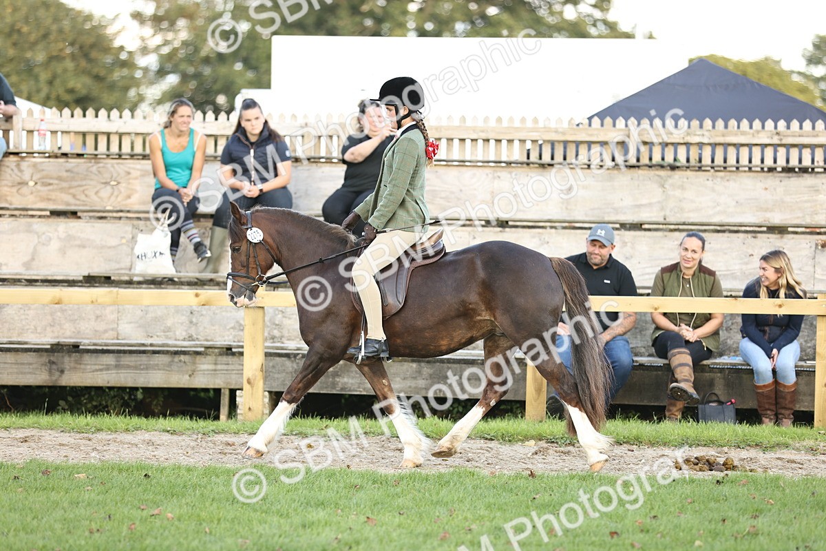 SBM_29558 - S7 - Novice & Newcomers Ridden Pony