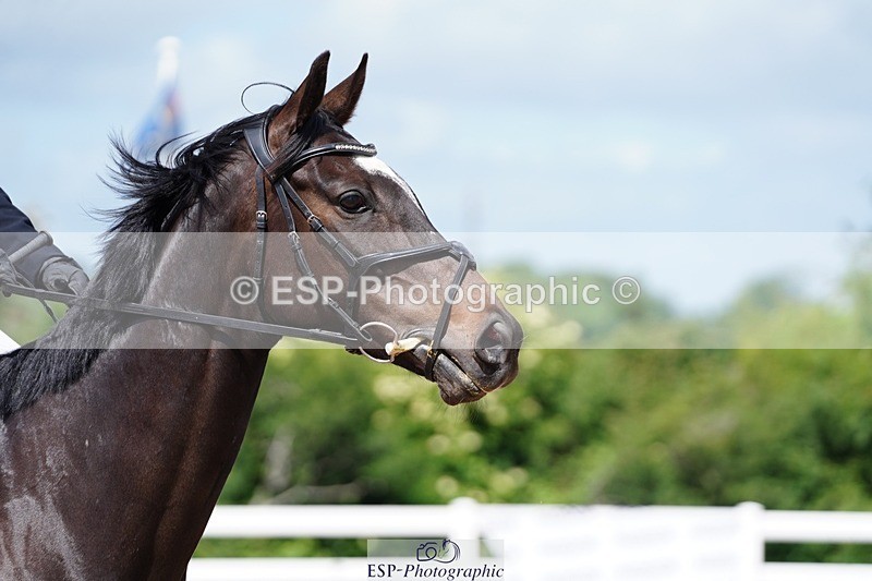 250525-110038-09195 - Cls 32 A&B Snr Brit Nov & 90cm Open