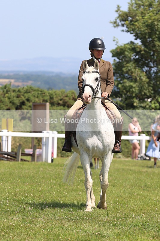 JPP_2676 - Class 21: Working Hunter 60cm
