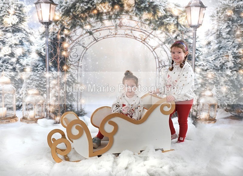 DSC_6579 - Sharon artcroft