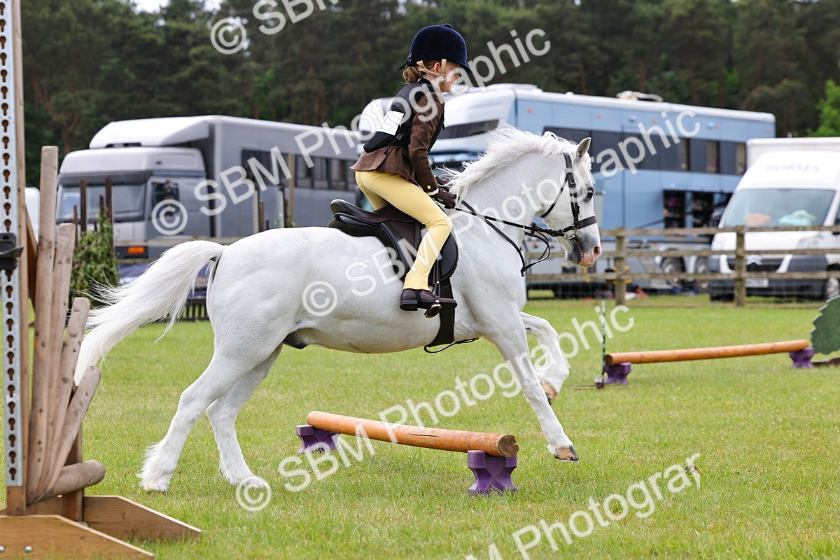 SBM_08659 - Class 42-43 - LIHS BSPS Heritage Working Sports Pony