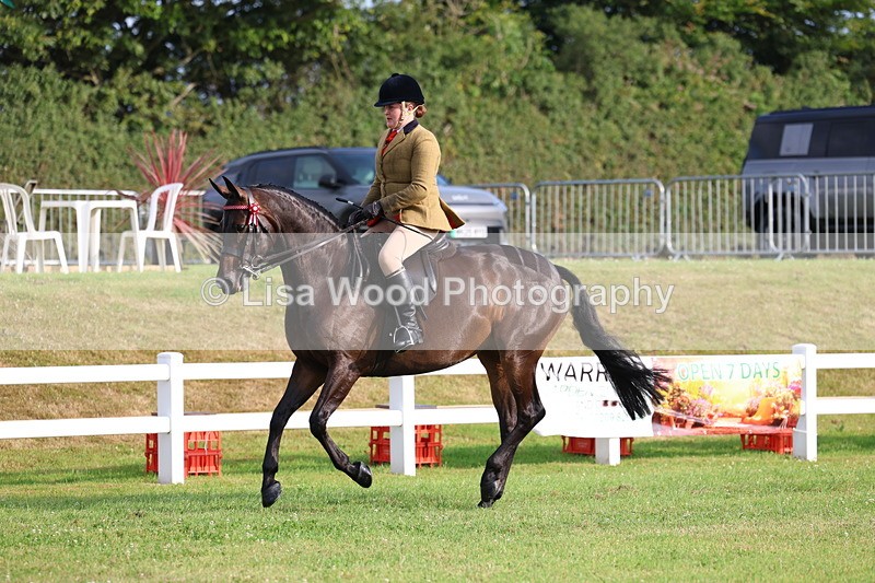 3E7A7725 - Class 1: Rising Star Small Hack/Riding Horses