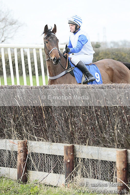PtP 230319 53 - VWH Hunt Siddington Point-to-Point Racing 23/03/19