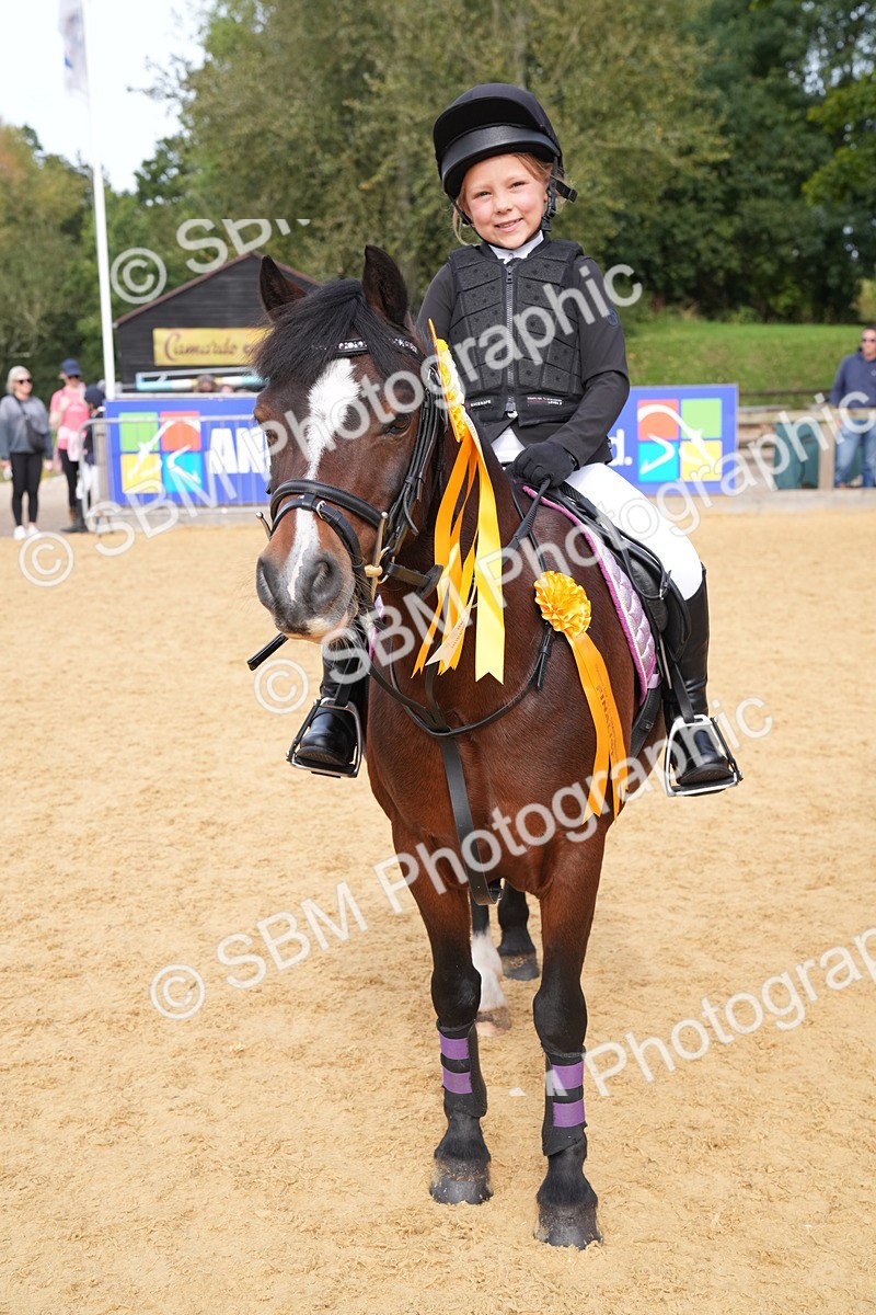 SBM_70501 - J3 - Mini Tour Junior Pony 40cm Championship