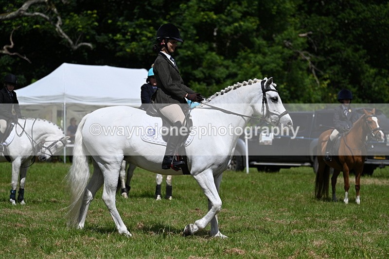 WJ7_1805 - Class 9 Pony Club Pony