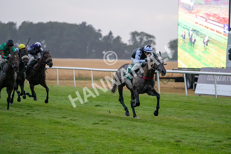 150725-Race 8-Good Karma-7665 - Race 8