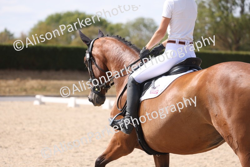 20260815-1079 - Class 6 - Novice 2