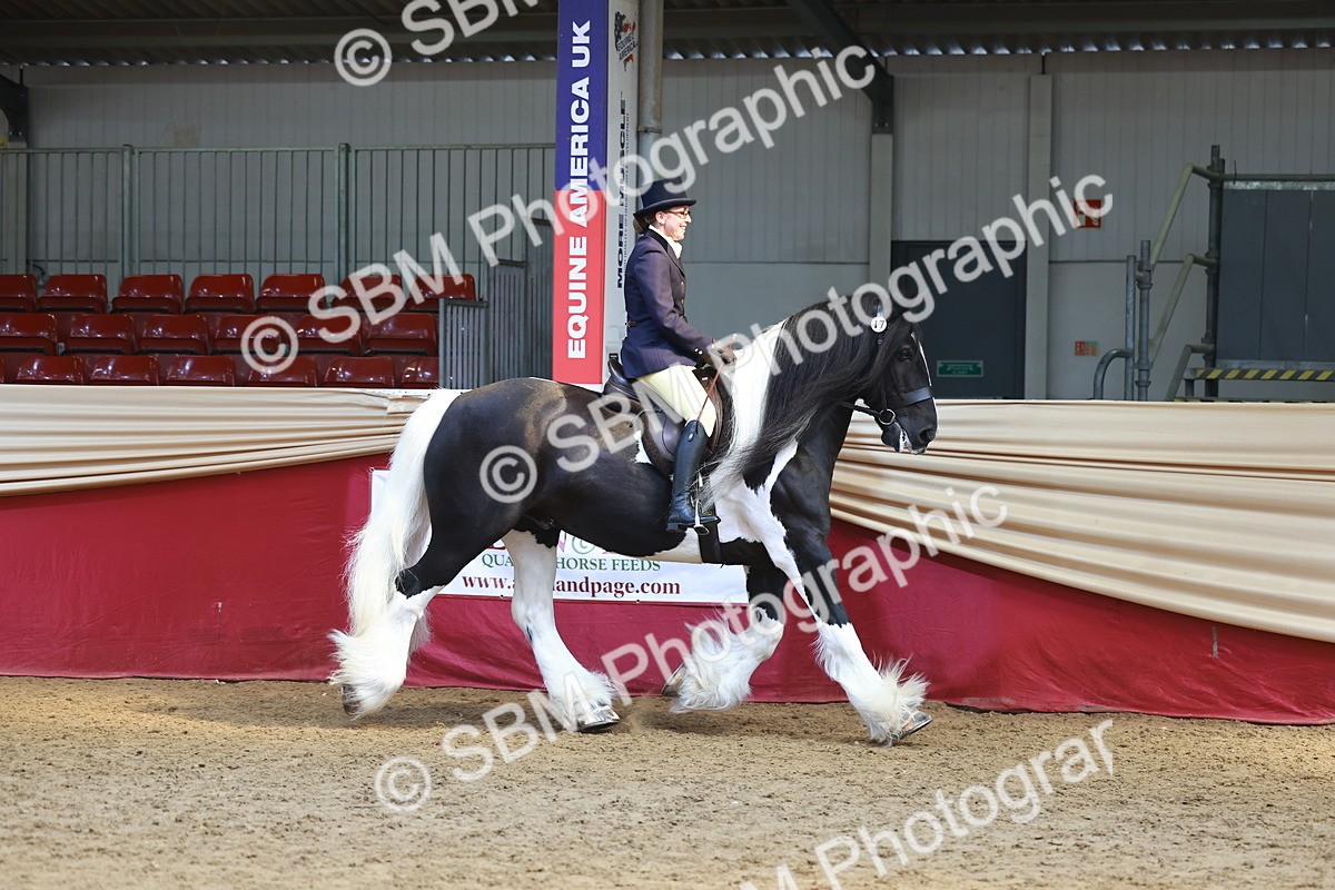 SBM_23321 - class 906 - Supreme Final - Ridden Pre Vet