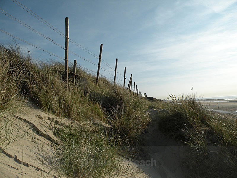  - Sea